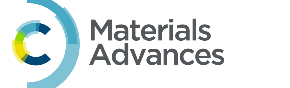 Sponsor 1 Logo